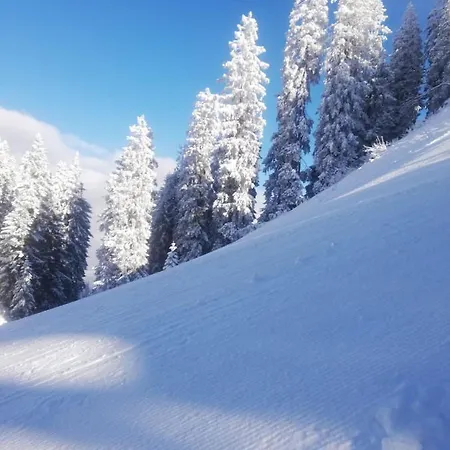 Stock Daire Kirchdorf in Tirol