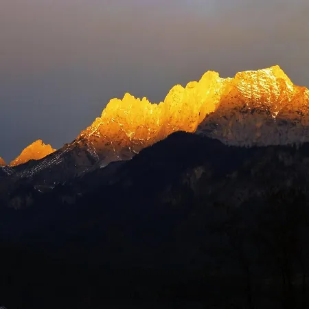 Stock * Kirchdorf in Tirol